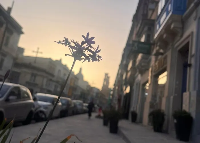 Cozy, Modern And Welcoming Hamrun